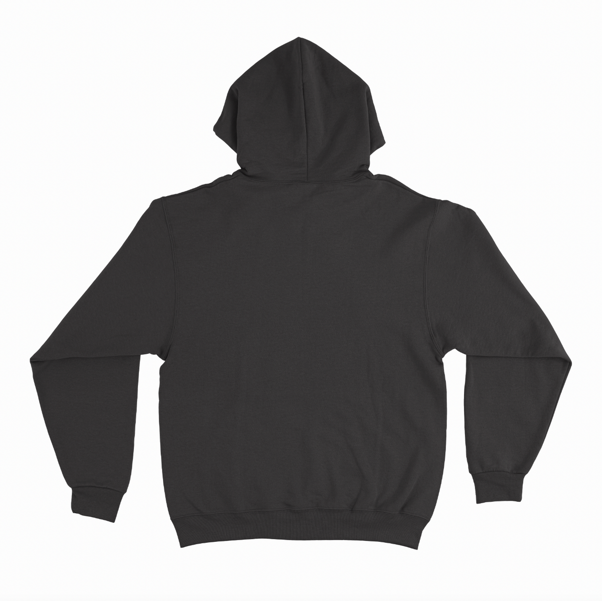 INCENDIARY NEW YORK ARCH CHAMPION PULL HOOD – allinmerch